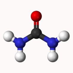 Blood urea nitrogen (BUN)